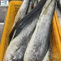 Filet Fish (mahi Mahi)