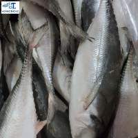 Tuna