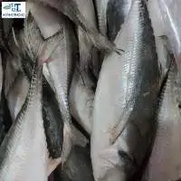 Tuna