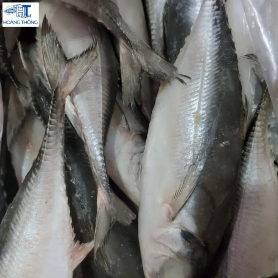 Tuna