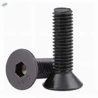 CSK Bolts