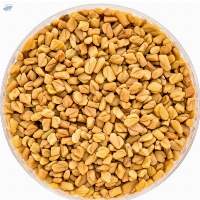 Fenugreek Seeds