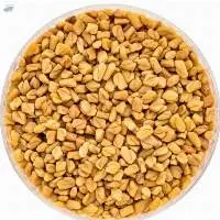 Fenugreek Seeds