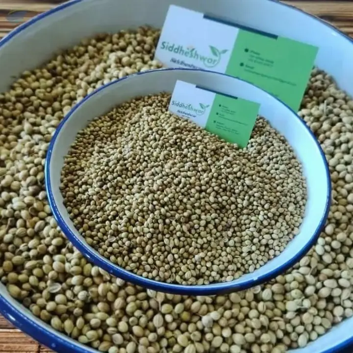Coriander Seed