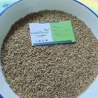 Coriander Seed
