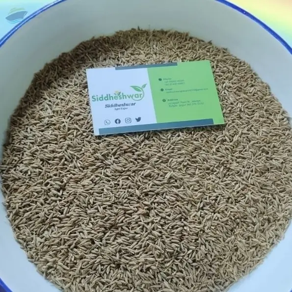 Coriander Seed
