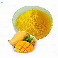 Dehydrated Dried Mango Totapuri Powder