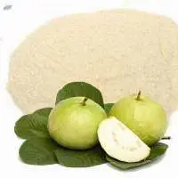 Dehydrated Dried Guava Powder