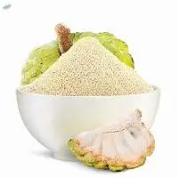 Dehydrated Dried Custard Apple Powder