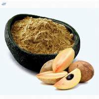 Dehydrated Dried Chickoo Powder