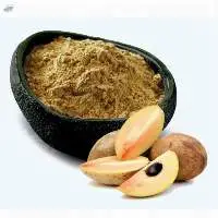 Dehydrated Dried Chickoo Powder