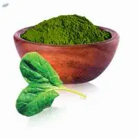 Dehydrated Dried Spinach Powder