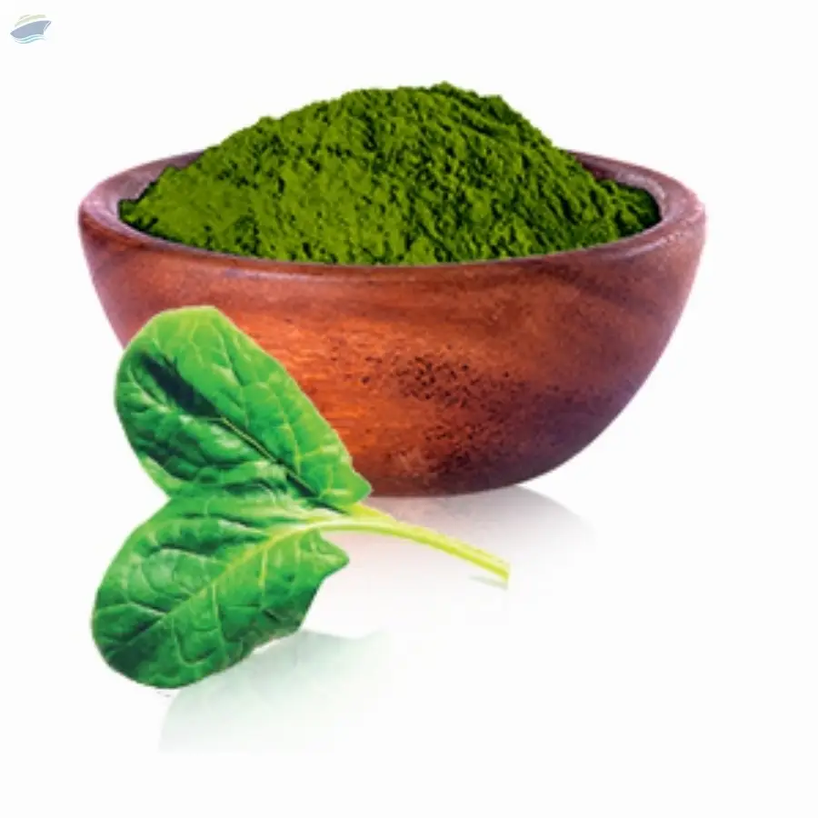 Dehydrated Dried Spinach Powder