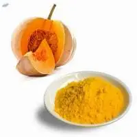 Dehydrated Dried Pumpkin Powder