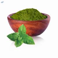 Dehydrated Dried Mint Powder