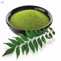 Dehydrated Dried Curry Leaves Powder