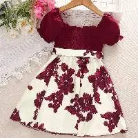 Princess Dresses With Belt Popular Baby Girls