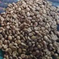 Robusta Coffee Green Bean