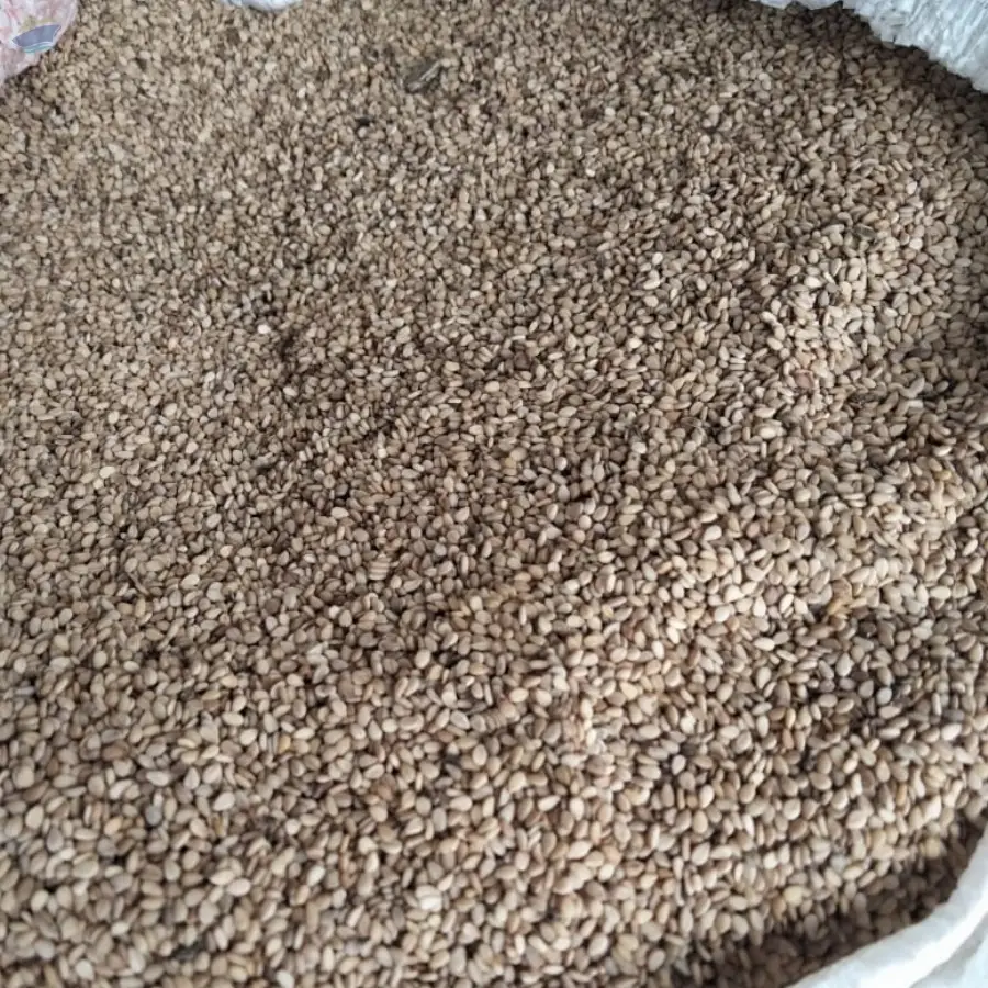 White Sesame Seeds (Unhulled)