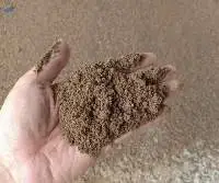 Palm Kernel Expeller / Palm Kernel Cake