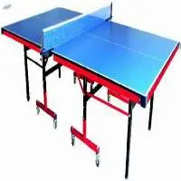 Table Tennis Table Thunder with Wheels