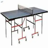 Table Tennis Table Practice with Wheels