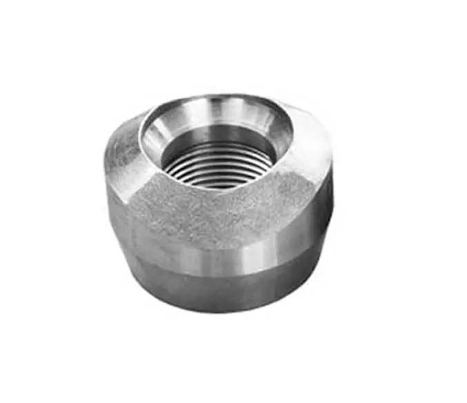 Titanium Grade 5 Threadolet by Alpha Overseas. Supplier from India