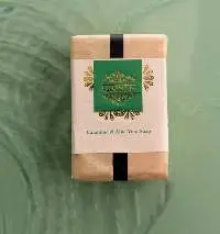 Calamine & Aloe Vera Soap 100gm