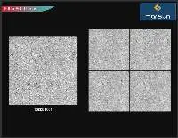 PGVT 600x600 DC Series New Porcelain Tiles