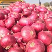 Red Onion