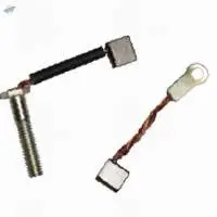 Carbon Brush Kit - Plsr Dtsi/UG - 2/3