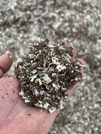 Organic Peat Moss and Wood Shavings Mixture