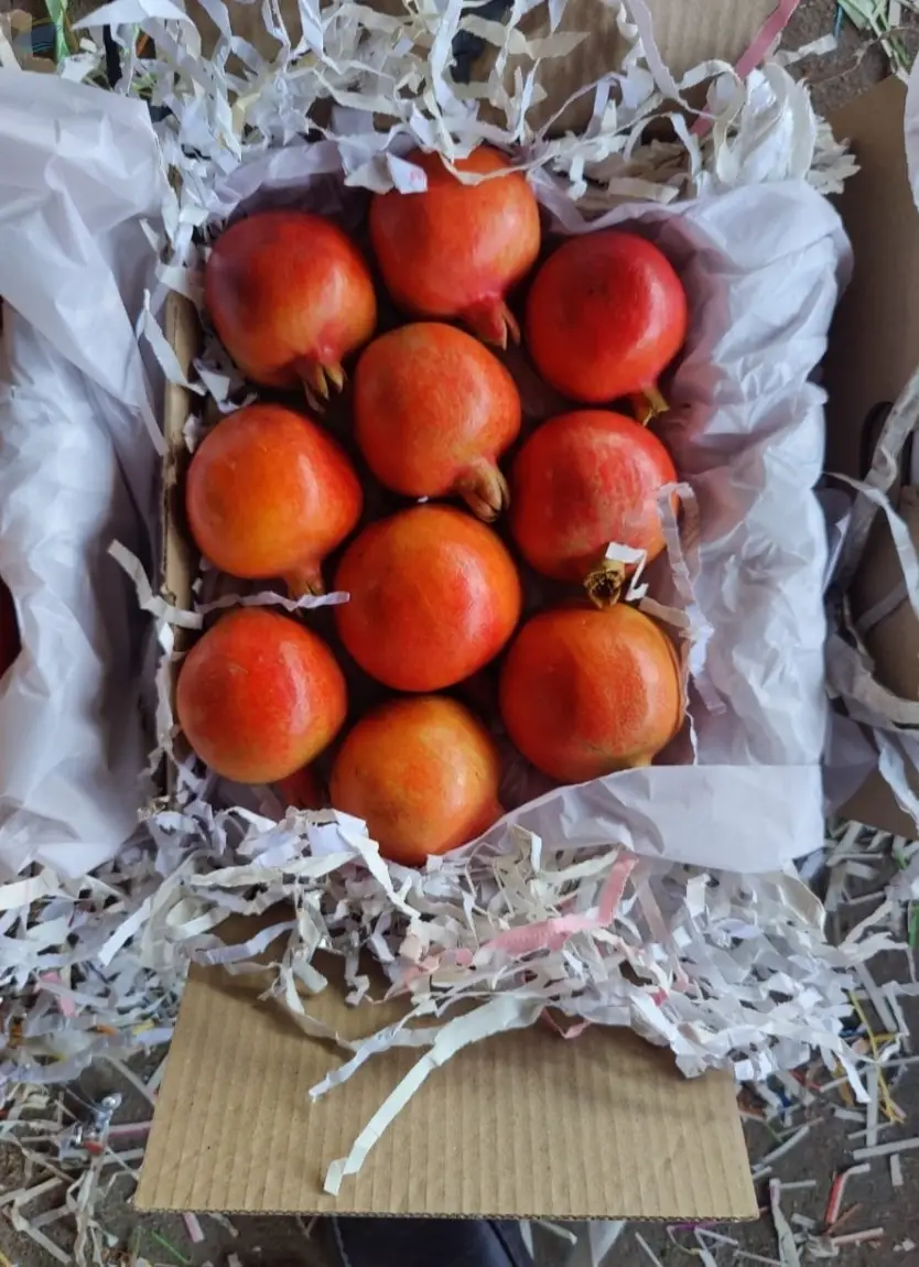 Pomegranate