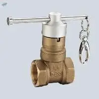 BAGB Series Brass Lockable Gate Valve