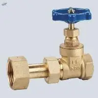 BAGS Series Extension Length Gate Valve