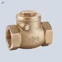 BACV Series Brass Swing Check Valves