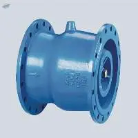 BRVB Series Spring Load Check Valve