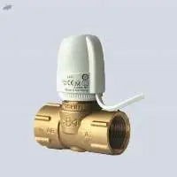 Temperature Control Valve