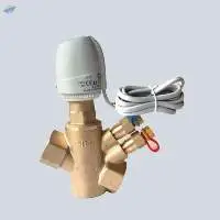 Temperature Control Valve