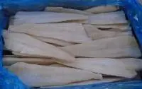 Frozen Alaska Pollock Fillet