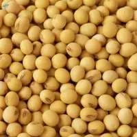 Soybeans