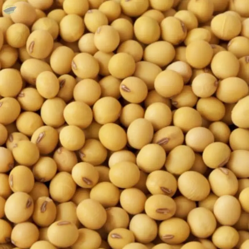 Soybeans