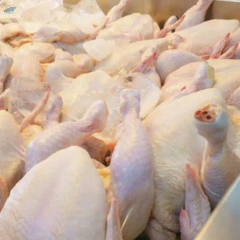 Frozen Chicken