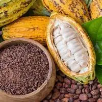 Cocoa