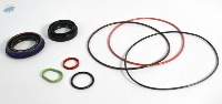 Oil Seal