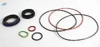 Oil Seal