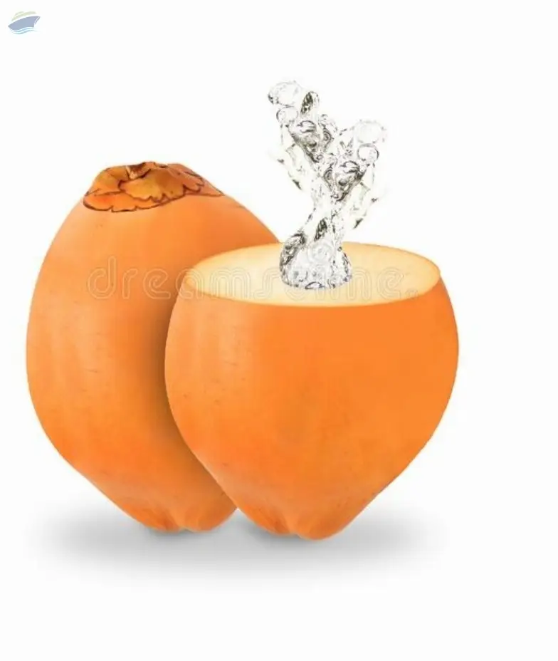 King Coconut by BSA Holdings Private Limited. Supplier from Sri Lanka