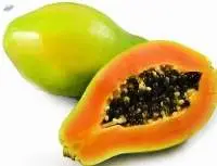 Papaya- Red Lady