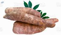 Tapioca/ Cassava