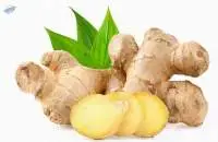 Fresh Ginger